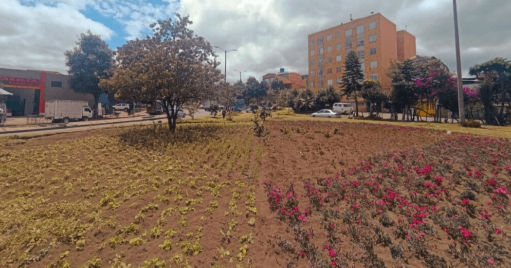 Jardinera con hileras de plantas ornamentales y flores rosadas en una zona verde urbana de Bogotá.