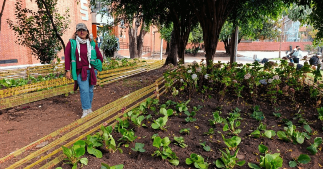 Jardinera intervenida con tierra removida y nuevas plantas ornamentales de follaje verde. Un borde amarillo delimita el área sembrada. Al fondo se observan árboles, vegetación y un sendero peatonal donde transitan personas de Bogotá.