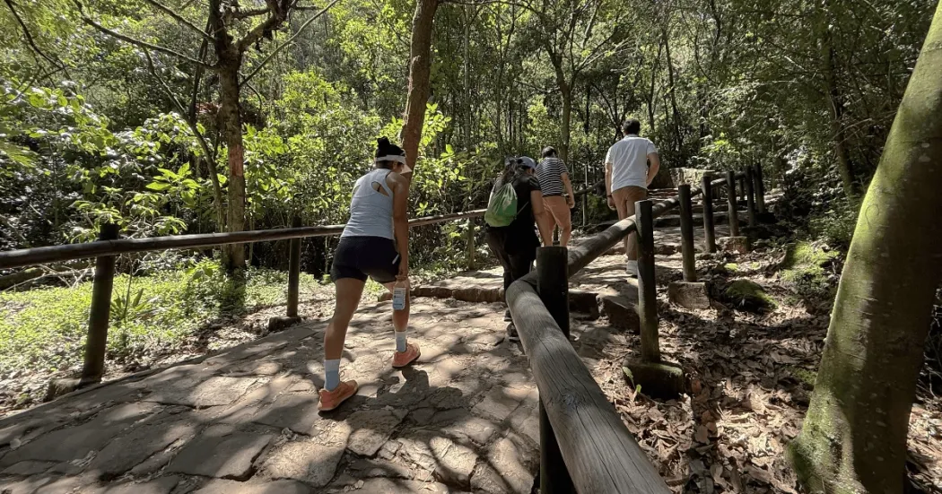 Personas recorren el sendero peatonal de Monserrate entre árboles y vegetación. El camino está pavimentado con piedra y cuenta con barandas de madera a ambos lados.