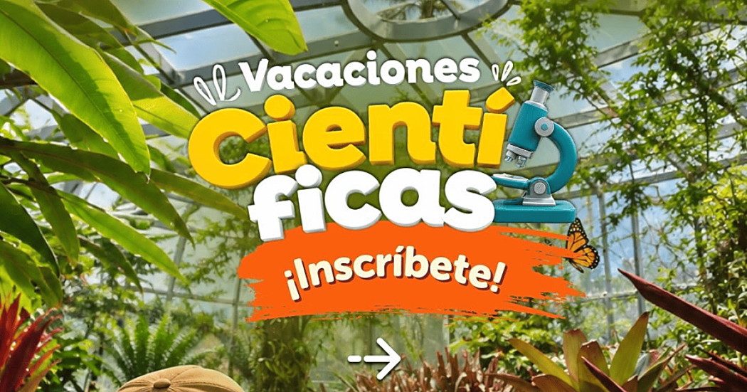 Pieza gráfica promocional de las Vacaciones Científicas del Jardín Botánico de Bogotá. Sobre un fondo con vegetación y elementos naturales aparece el texto destacado “Vacaciones Científicas” y la invitación “¡Inscríbete!”.
