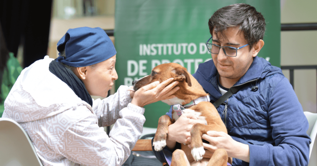 Persona con chaqueta clara y gorro azul extiende las manos hacia un perro de pelaje marrón con pecho y patas blancas, mientras otra persona con gafas y chaqueta azul sostiene al animal en sus brazos.