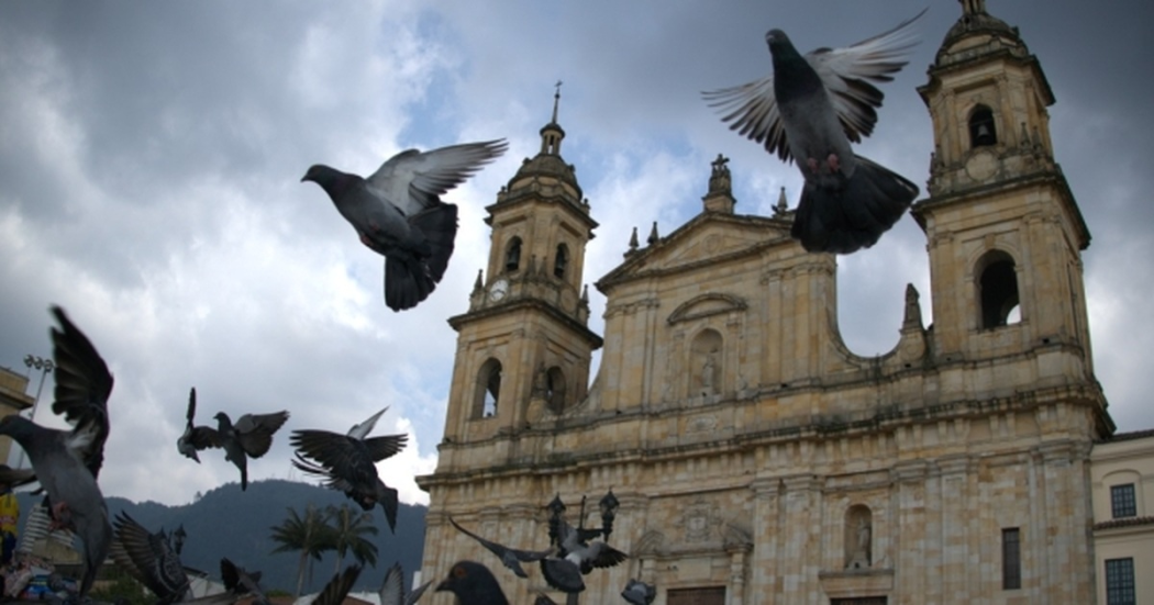 Palomas volando en la Plaza de Bolívar en Bogotá