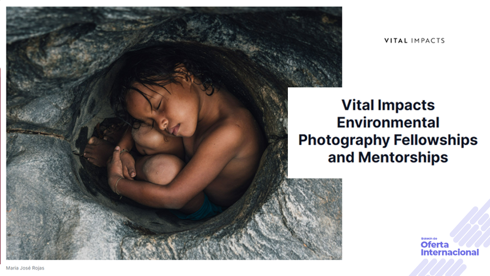 Fellowship internacional para proyectos de fotografía ambiental