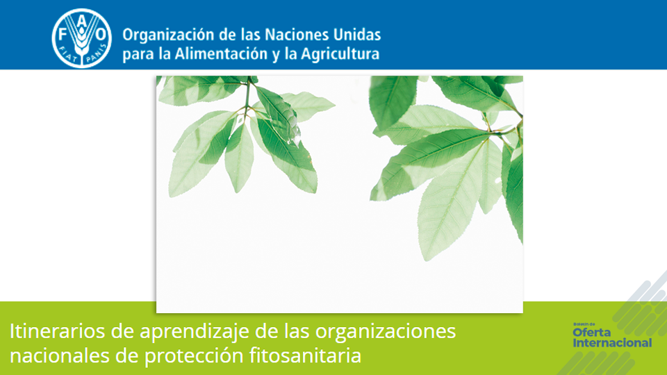 Formación FAO sobre roles y capacidades en protección fitosanitaria