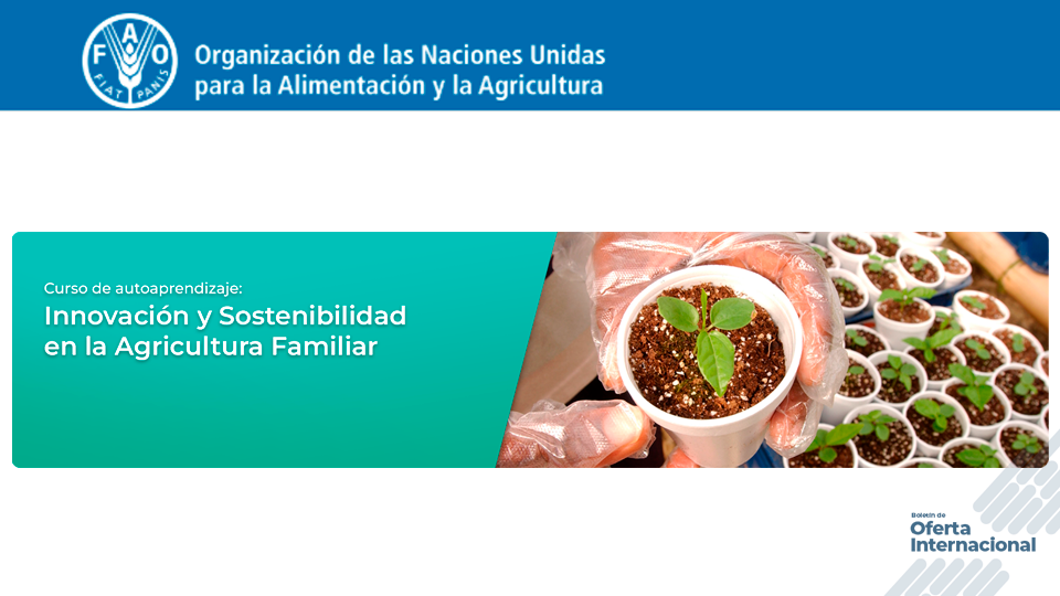 Curso FAO sobre innovación y sostenibilidad en agricultura familiar