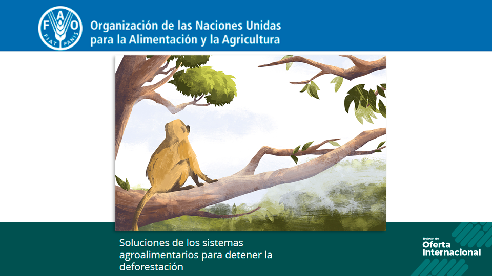 Curso FAO sobre sistemas agroalimentarios y deforestación