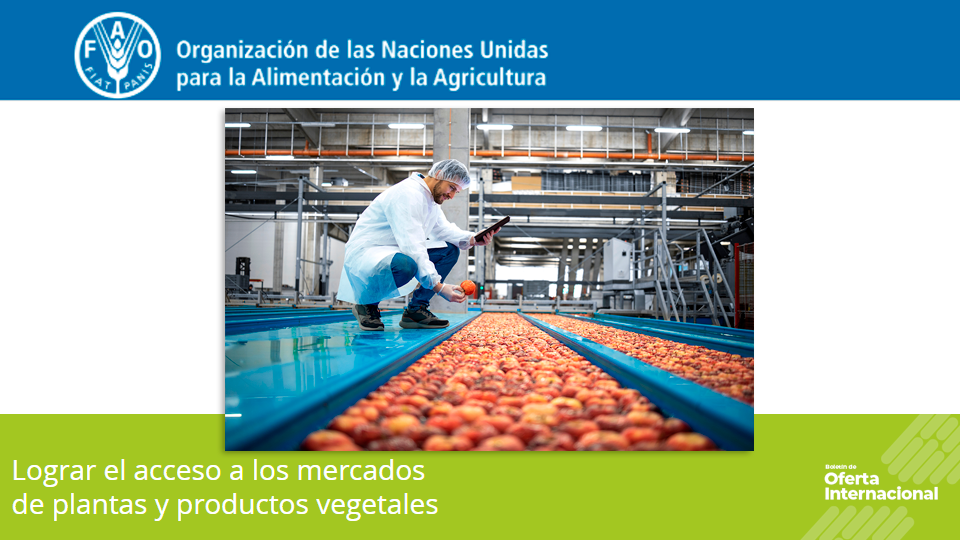 Curso FAO sobre acceso a mercados y protección fitosanitaria