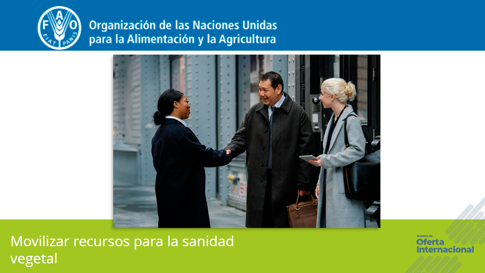 Curso FAO sobre movilización de recursos para sanidad vegetal