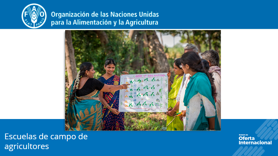 Cursos FAO sobre escuelas de campo para agricultores