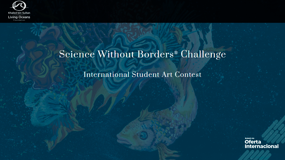 Concurso internacional de arte para jóvenes sobre protección del océano