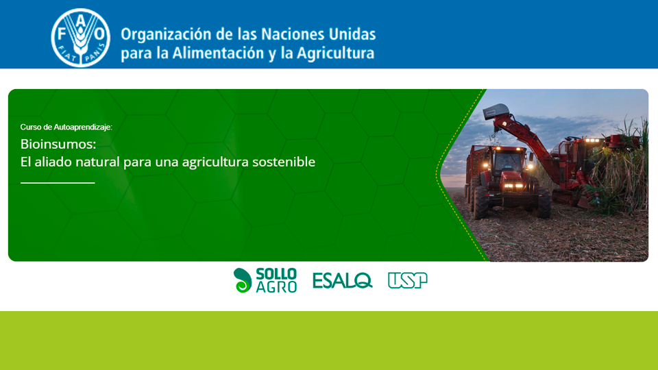 Curso de FAO sobre bioinsumos para una agricultura sostenible