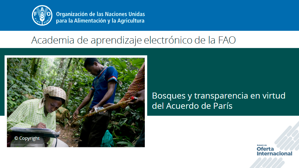 Curso virtual de la FAO sobre bosques y cambio climático
