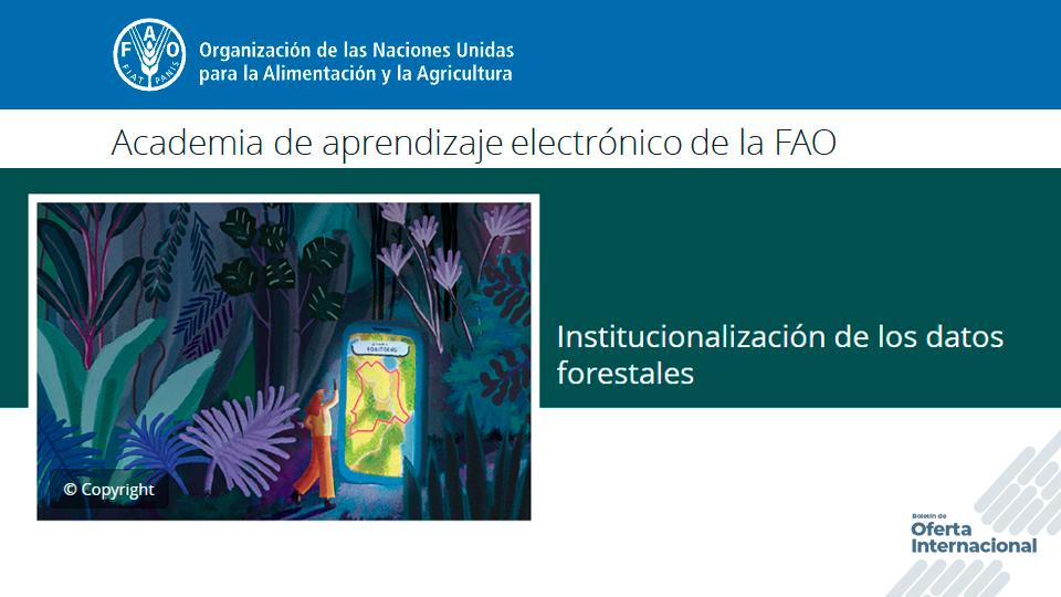 Curso virtual de la FAO sobre gestión y monitoreo de datos forestales