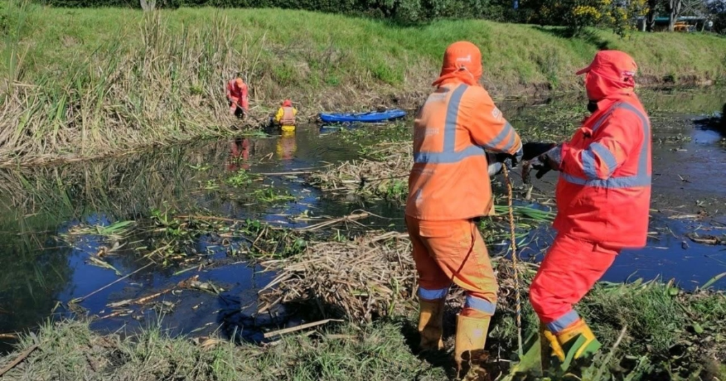 Foto que muestra personas sacando residuos del agua 