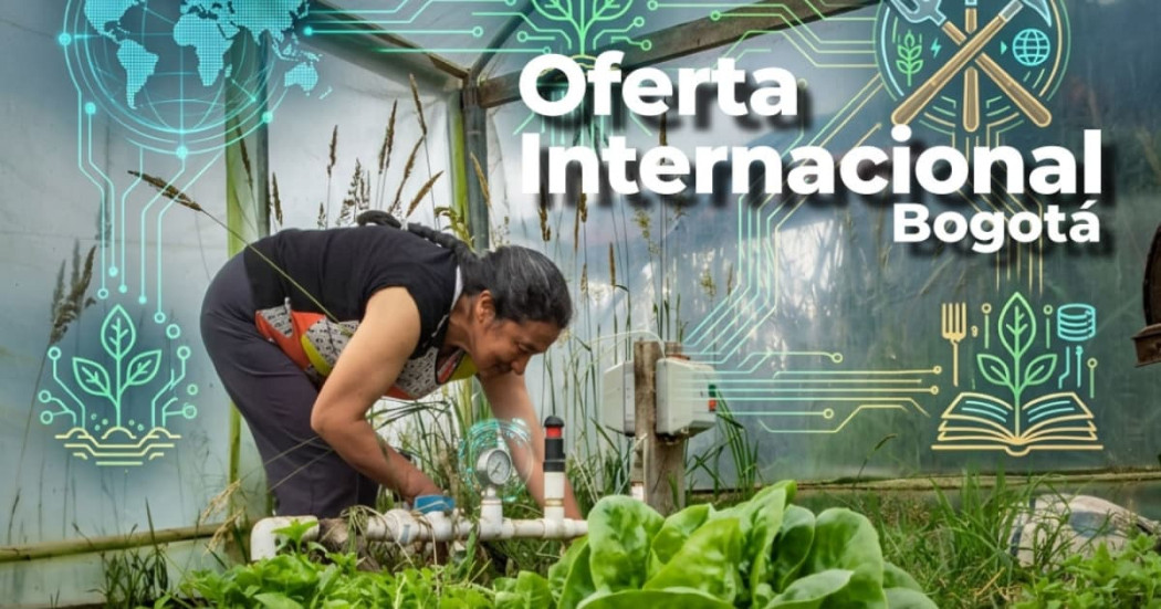 Foto de una mujer realizando labores de cultivo en una huerta urbana en Bogotá.
