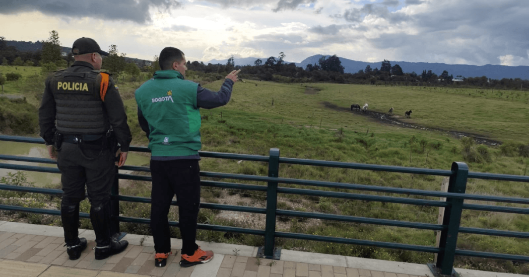 Grupo del IDPYBA y Policía Nacional en campo con caballos al fondo donde se atendió caso de presunto maltrato a equino en la localidad de Usaquén.