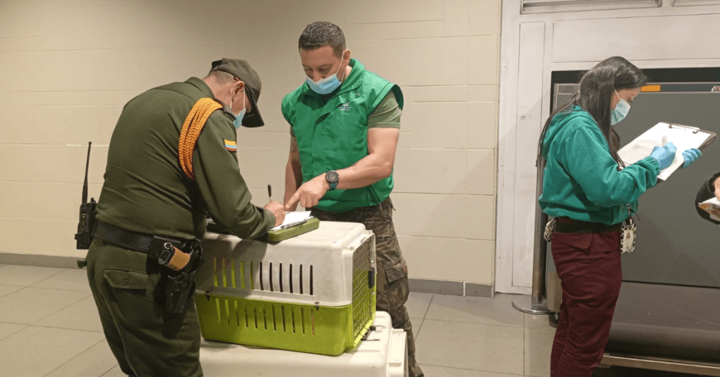 Personal uniformado entrega un guacal con un animal de compañía a otra persona en una instalación interior.