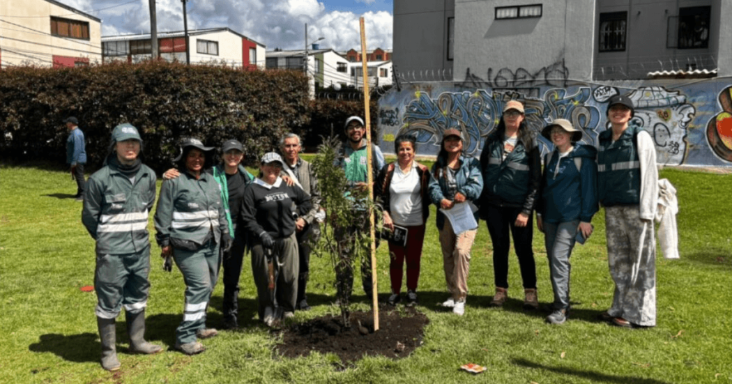 Grupo de personas reunidas alrededor de un árbol recién sembrado en una zona verde de un parque. Varias personas sostienen herramientas de jardinería mientras, al fondo, se observan edificaciones residenciales y montañas bajo un cielo parcialmente nublado.
