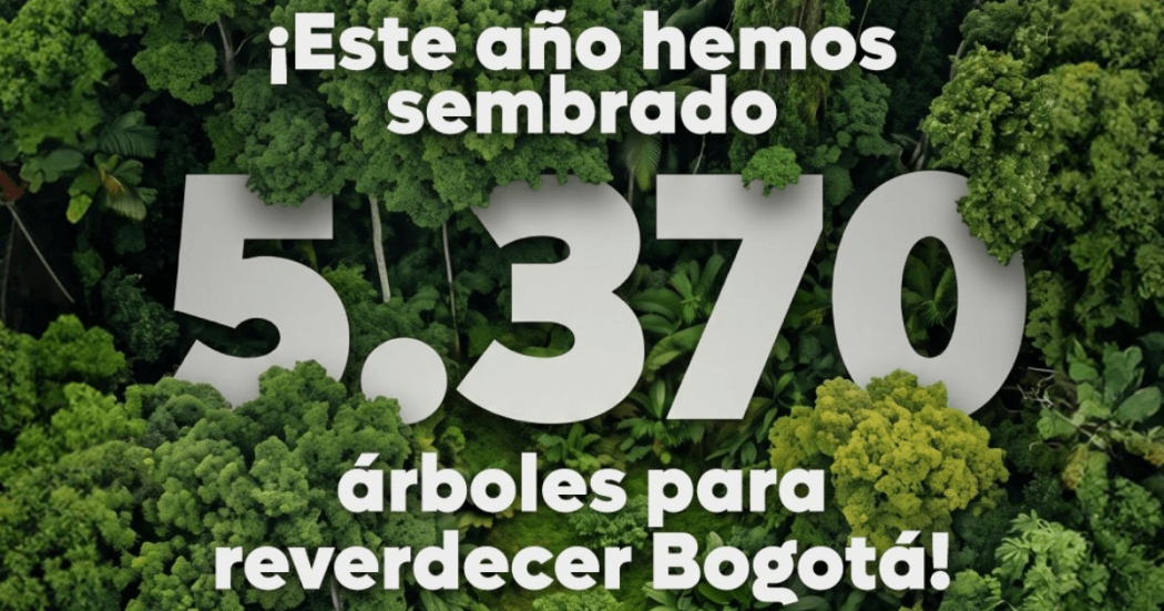 Imagen gráfica con el texto: Este año hemos sembrado 5.370 árboles para reverdecer Bogotá 