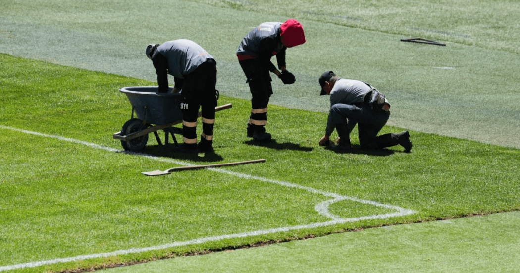 Tres trabajadores realizan labores de mantenimiento y reparación del césped en la cancha del estadio El Campín de Bogotá, junto a la línea lateral del campo de fútbol.