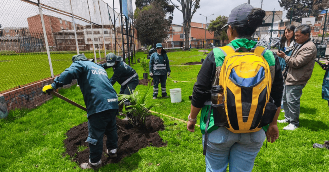Personal del Jardín Botánico de Bogotá realiza labores de siembra y mantenimiento de un árbol en una zona verde de Engativá, con herramientas y equipos de jardinería.