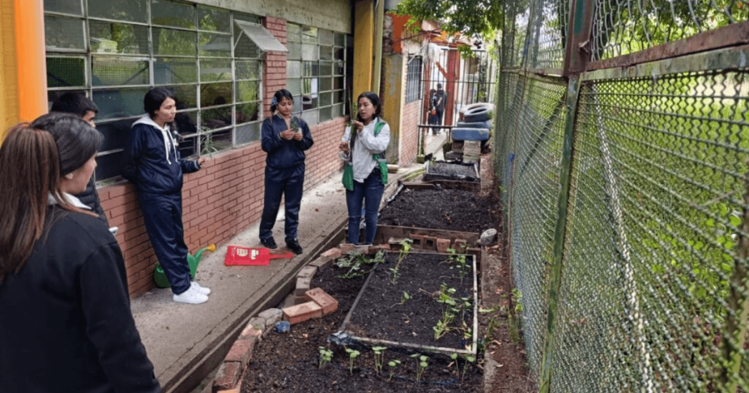 Estudiantes participan en una actividad educativa junto a una huerta escolar con cultivos en crecimiento, ubicada en un espacio exterior de una institución educativa, durante una jornada liderada por el Jardín Botánico de Bogotá.