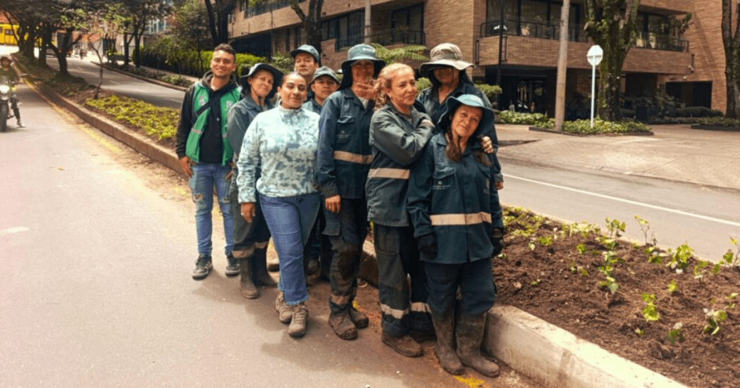 Trabajadores del Jardín Botánico de Bogotá posan junto a plantas recién sembradas en el separador vial de la calle 85, en Chapinero.