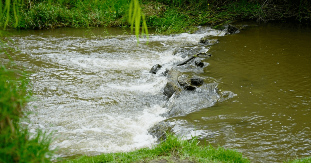 Flujo de agua descendiendo por una pequeña estructura de control hidráulico hacia un canal, rodeado de vegetación verde en una zona natural propensa a lluvias.