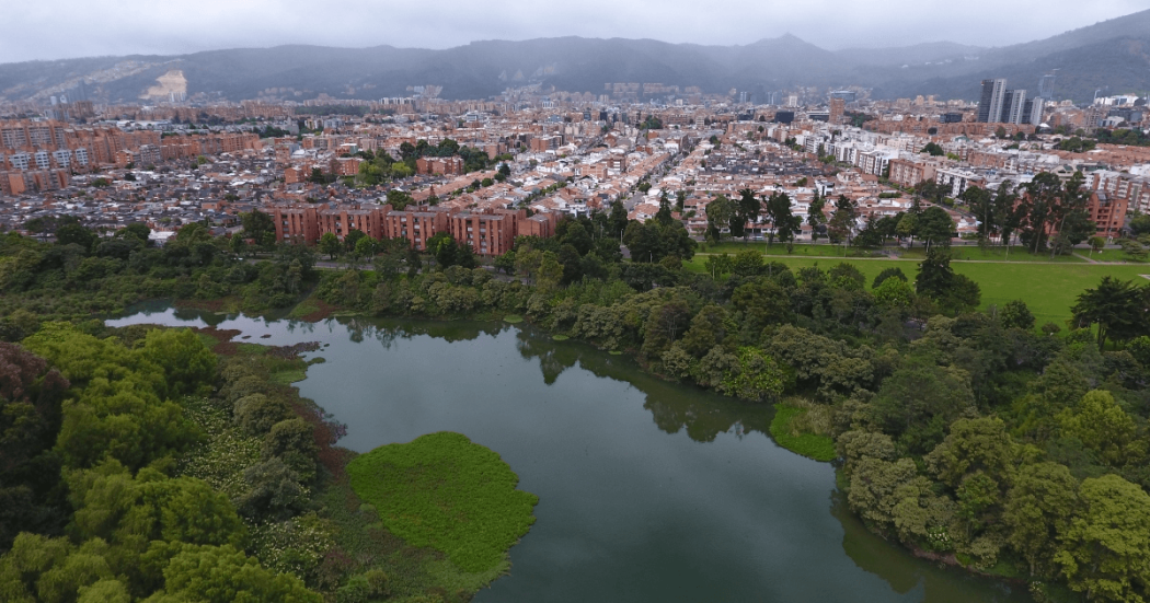 Foto que muestra un humedal y árboles 