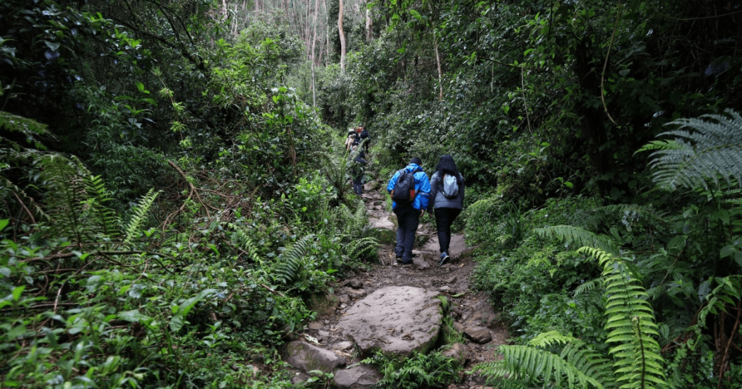 Foto que muestra dos personas caminando por un sendero 
