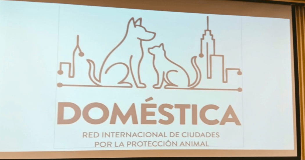Logo de la Red DOMÉSTICA para la Protección Animal. Incluye las siluetas de un perro y un gato junto a una línea de horizonte urbano. Debajo aparece el texto: “DOMÉSTICA, Red Internacional de Ciudades para la Protección Animal”.