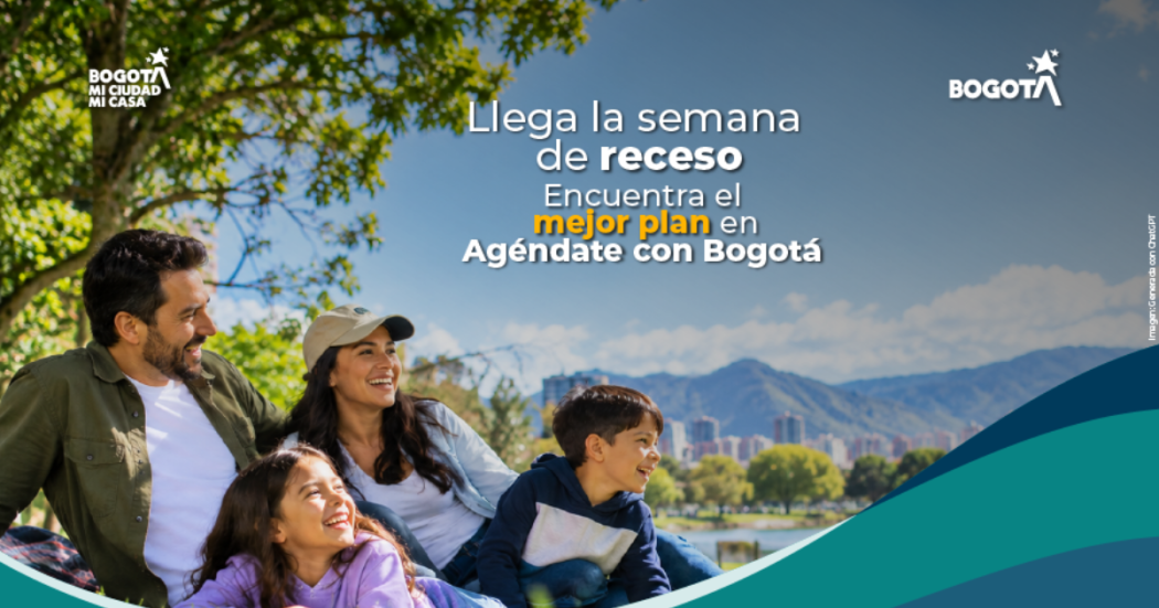 Imagen de pieza gráfica de Catastro Bogotá