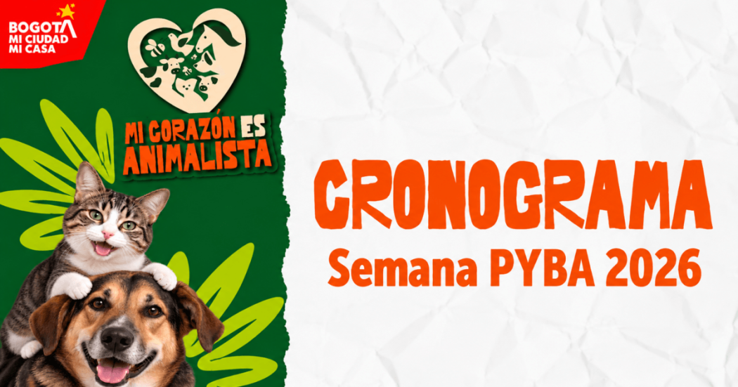 Pieza gráfica con ilustraciones de animales y el texto parcial “CRONOGRAMA Semana PYBA”, relacionada con actividades de bienestar y protección animal.