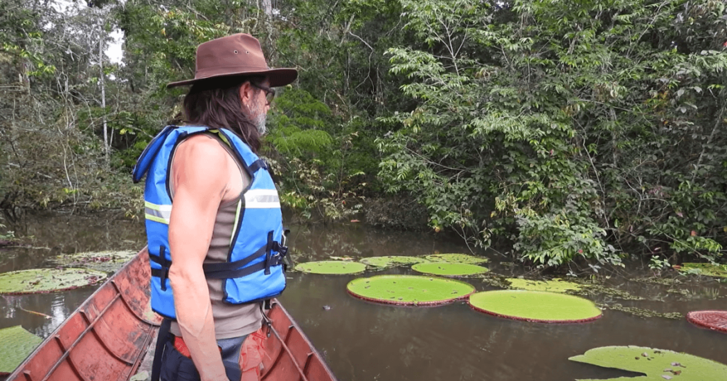 Persona con chaleco salvavidas observa un cuerpo de agua rodeado de vegetación en una zona selvática, donde se destaca la Victoria Colombiana con grandes hojas circulares flotando sobre la superficie.