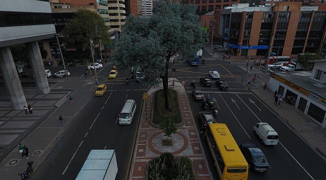 Transformación de la Calle 72 - Foto: Jardín Botánico de Bogotá