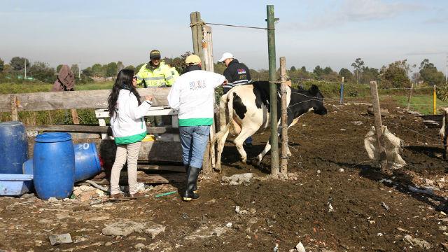 Operativo en Juan Amarillo - Foto: Secretaría de Gobierno