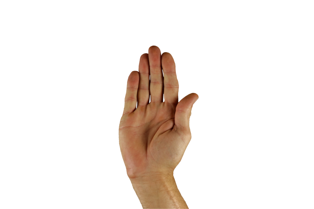 Lenguaje de señas - foto: pixabay 