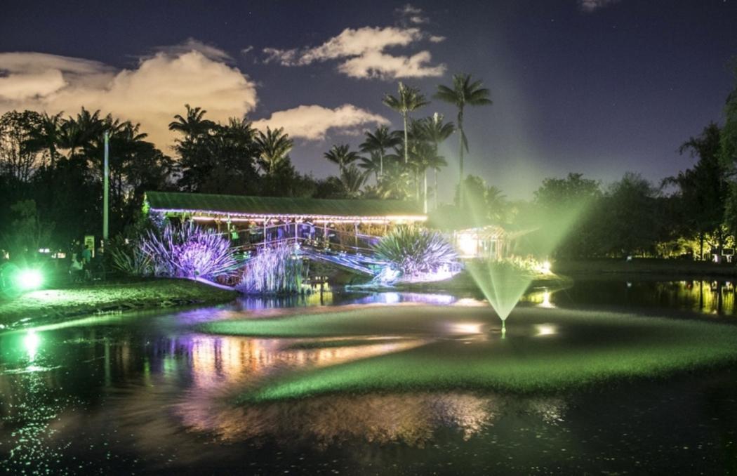 Una foto del jardín botánico en las actividades de la noche, iluminado por luces verdes