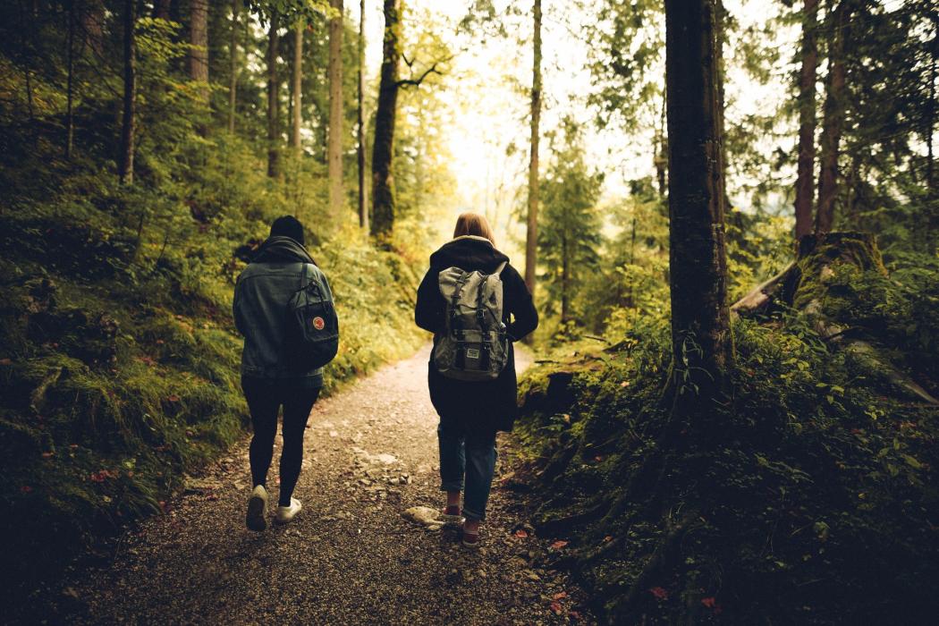 Dos personas de espaldas, caminando por un sendero ecológico lleno de arboles a su alrededor