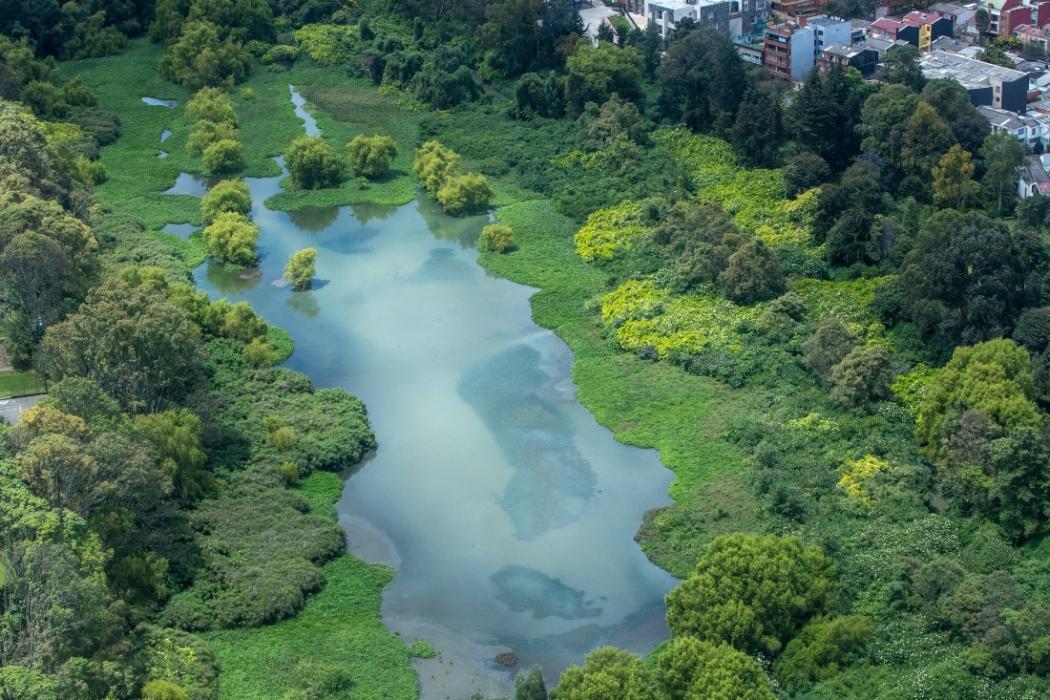 Día de los humedales en el Parque Nacional en Bogotá 