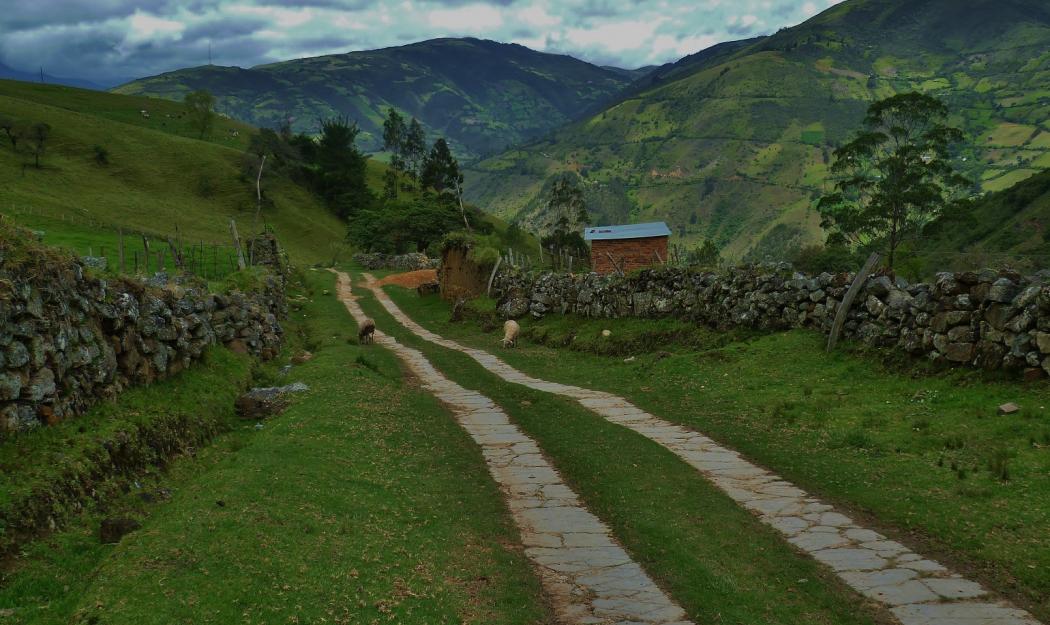 La franja ColombiaEnCorto de la Cinemateca de Bogotá llega para visualizar las memorias de la violencia rural. 
