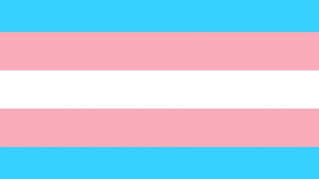 Transfeminicidio: ¿cuál es la respuesta del Estado? | Bogota.gov.co