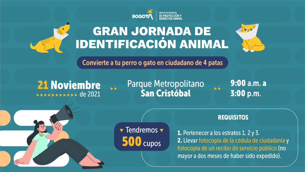 Este 21 de noviembre lleva a tu animal de compañía a la implantación de microchip en San Cristóbal 