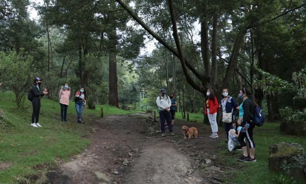 Los ciudadanos y ciudadanas pueden visitar https://ambientebogota.gov.co/es/caminatas-ecologicas y conocer el cronograma en detalle. Foto: Secretaría de Ambiente.