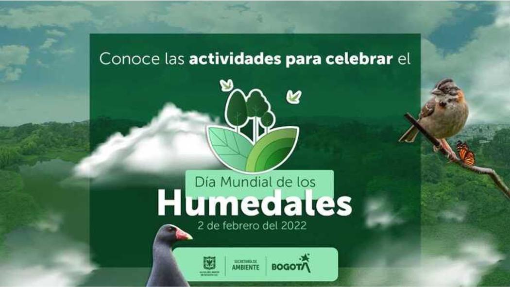 Los ciudadanos tienen la oportunidad de conocer los humedales de Bogotá de manera gratuita, pues están presentes en varias localidades. Pieza: Secretaría de Ambiente