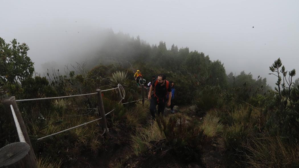 Recorridos por los humedales de Bogotá: Última semana de enero