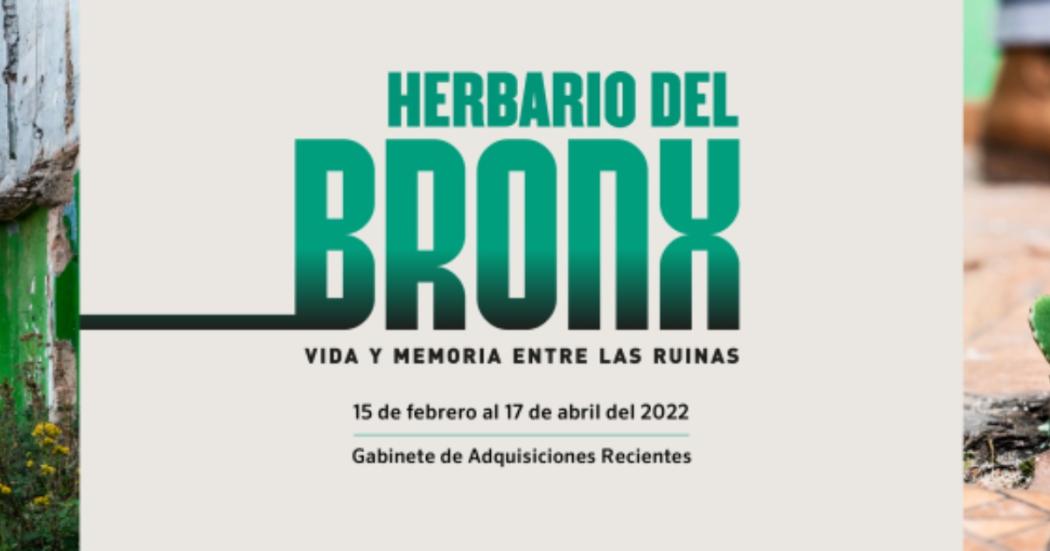 Exposición el herbario del Bronx (Museo Nacional/FUGA) Recorridos en la L