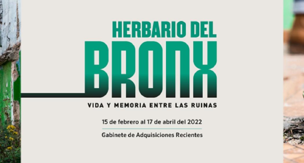 Recorridos en el Bronx, en el marco de la exposición del herbario
