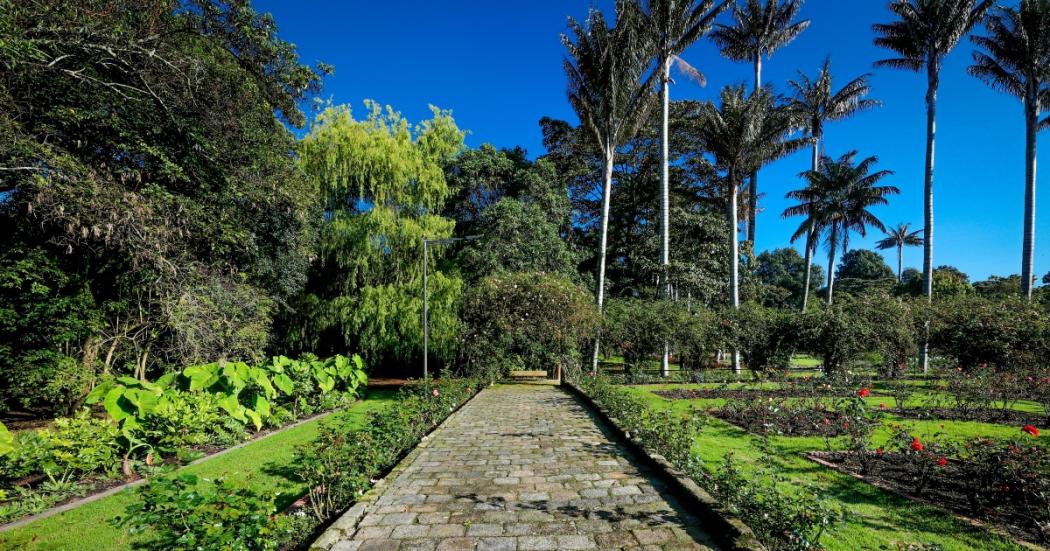 Talleres con el Jardín Botánico y la Esquina Redonda