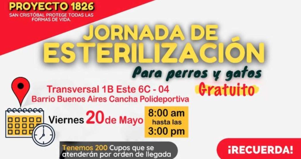 Jornada de esterilización para perros y gatos en San Cristóbal